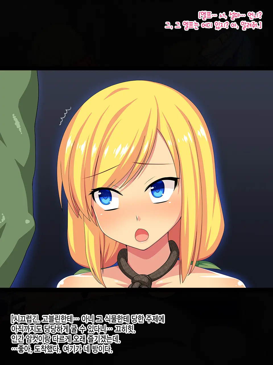 Elf No Otome Aselia ~Ishuzoku Nikubenki No Unmei~